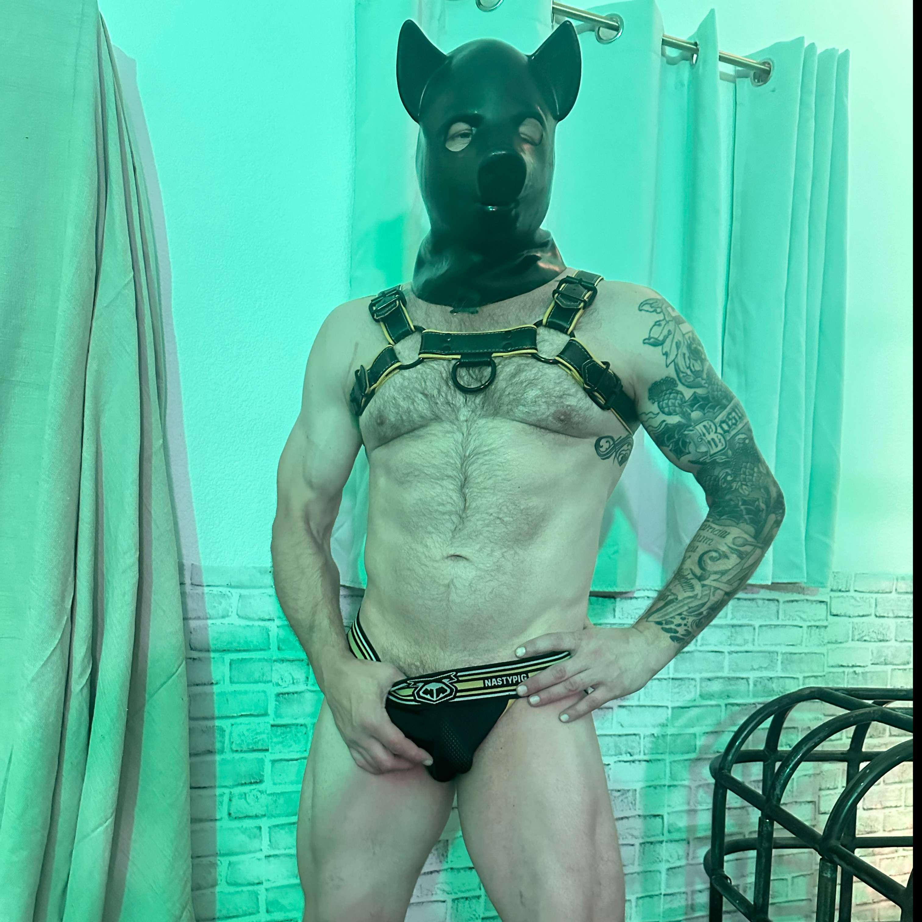 loverfans Alphasubxxx profile photo  