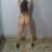 loverfans Nicolehotwife profile photo  