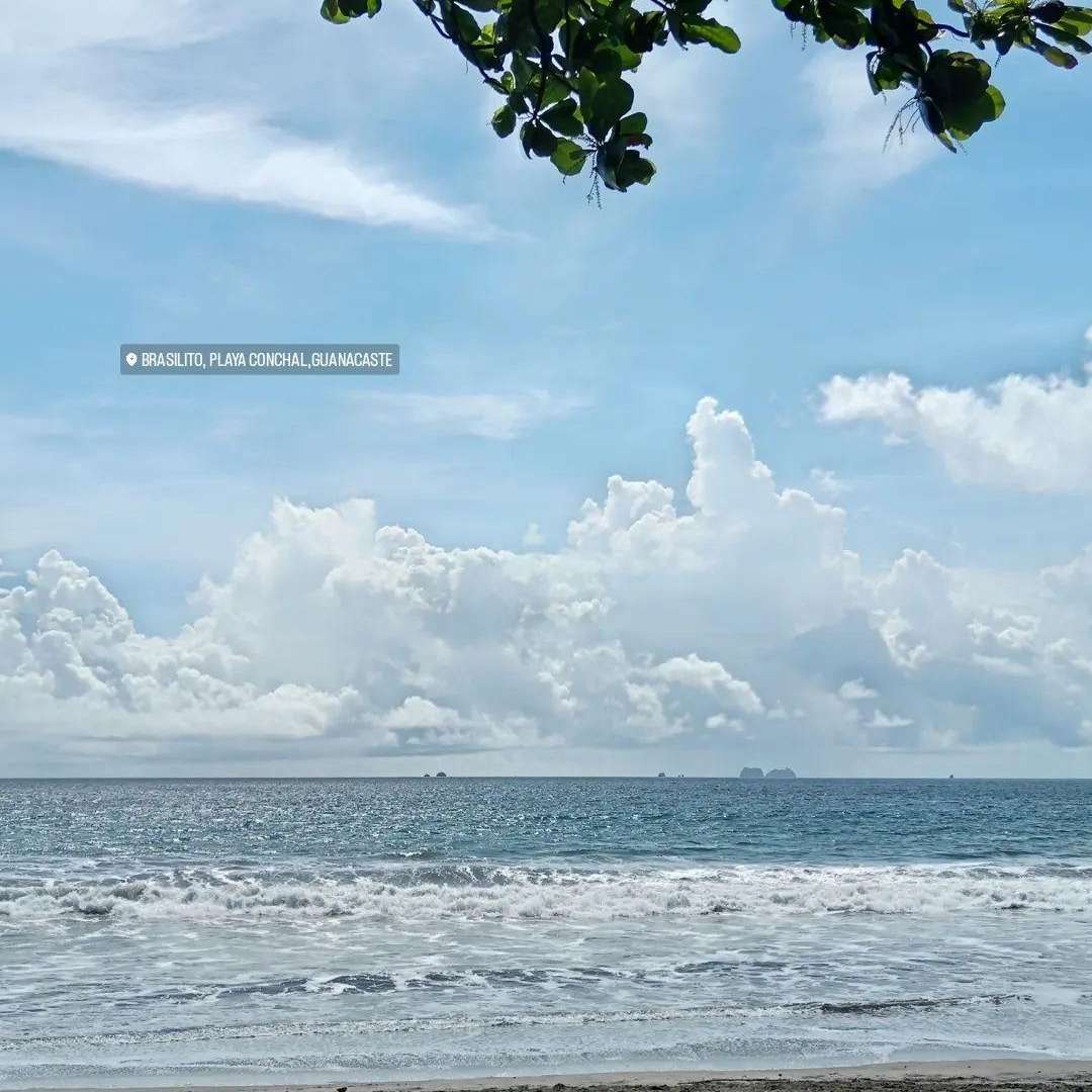 loverfans brcortes8 profile photo  