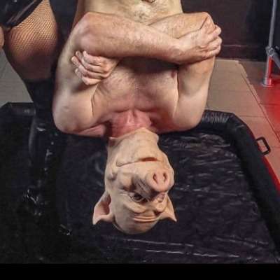 loverfans Mr X. Or Piggie for friends. profile photo  