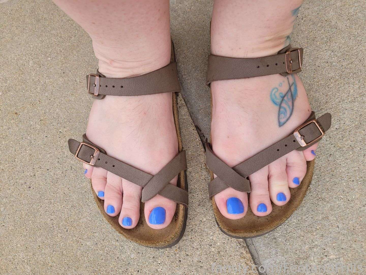 fansly FeetandFrills  profile photo  