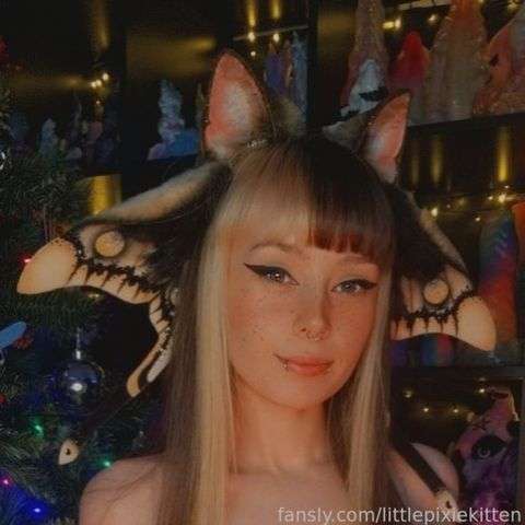 fansly Little Pixie Kitten  profile photo  