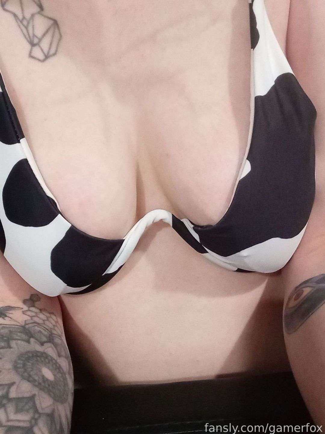 fansly gamerfox profile photo  