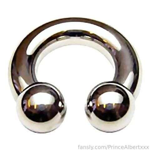 fansly Prince Albert XXX profile photo  