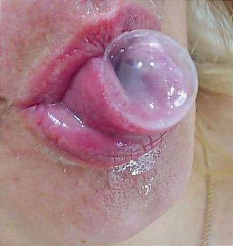 fansly hairyStella profile photo  