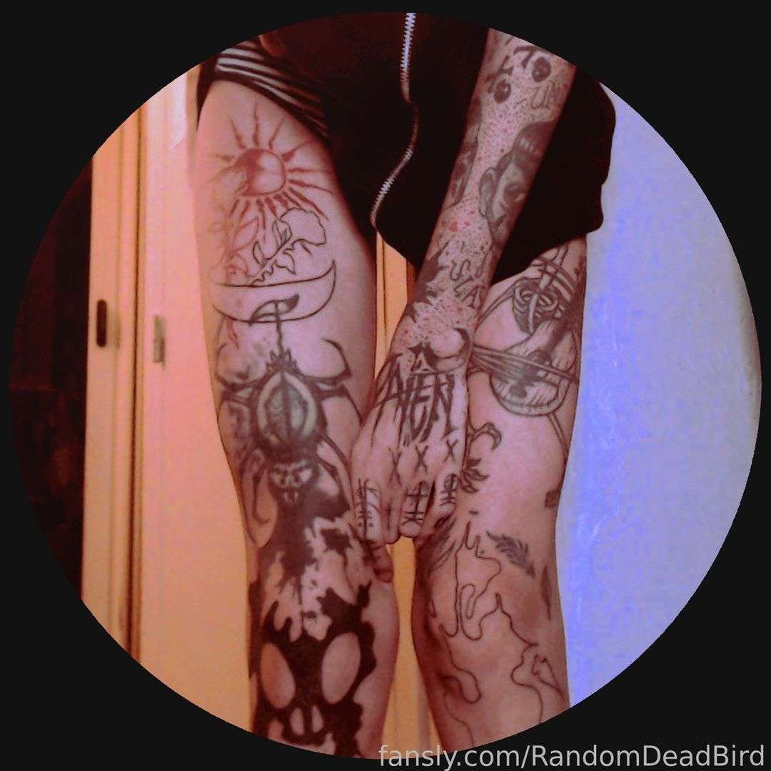 fansly Foxy "HxC" Macfly profile photo  