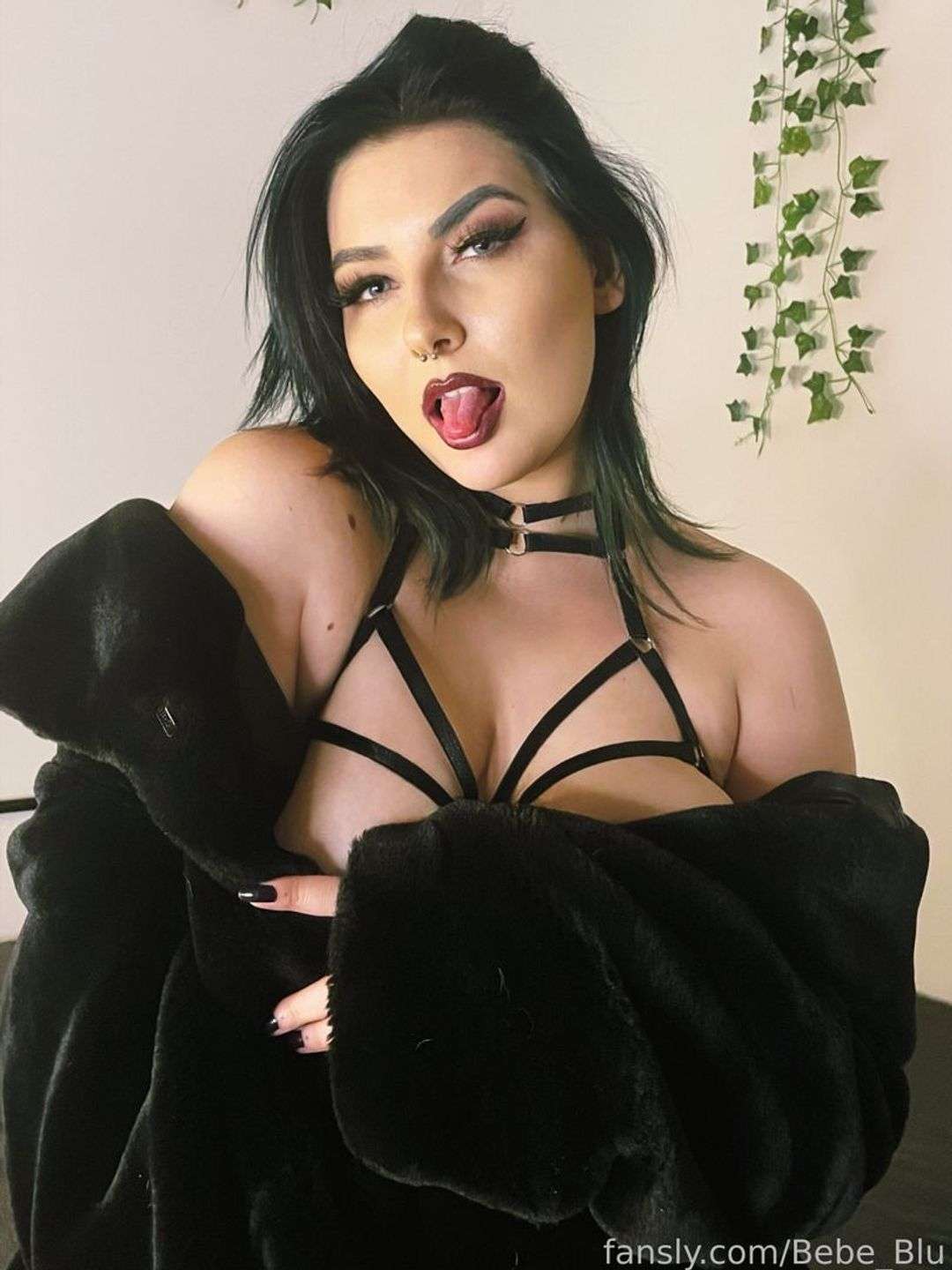 fansly Bebe Blu profile photo  