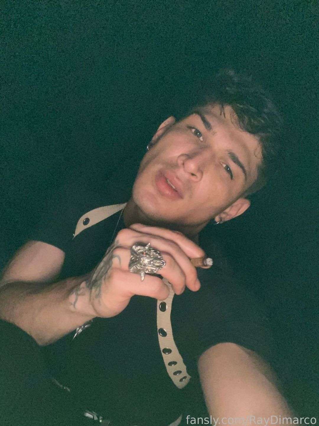 fansly RayDimarco  profile photo  