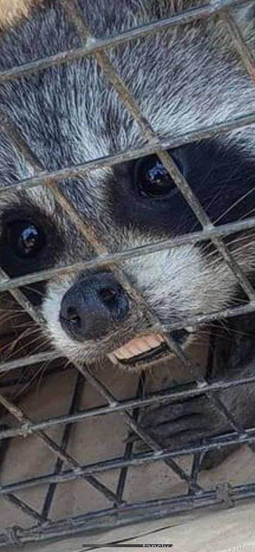 fansly HeyItsWynter profile photo  