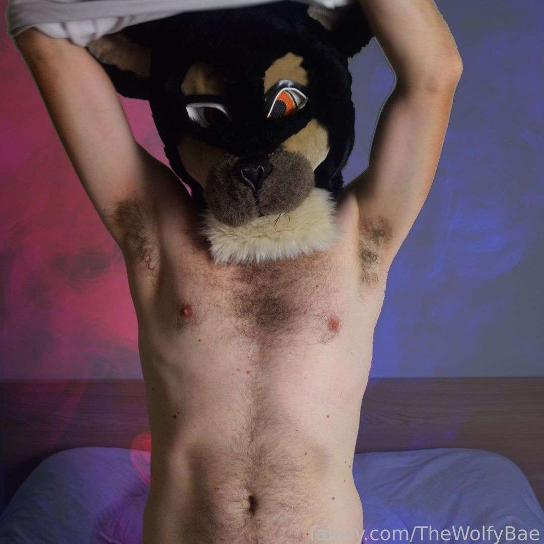 fansly The Wolfy Bae profile photo  