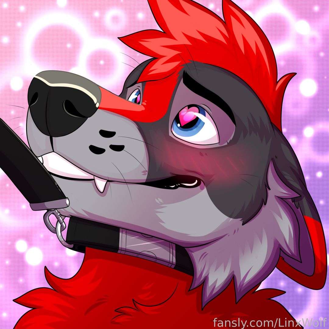 fansly LinxWolf profile photo  