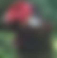 fansly Rex profile photo  
