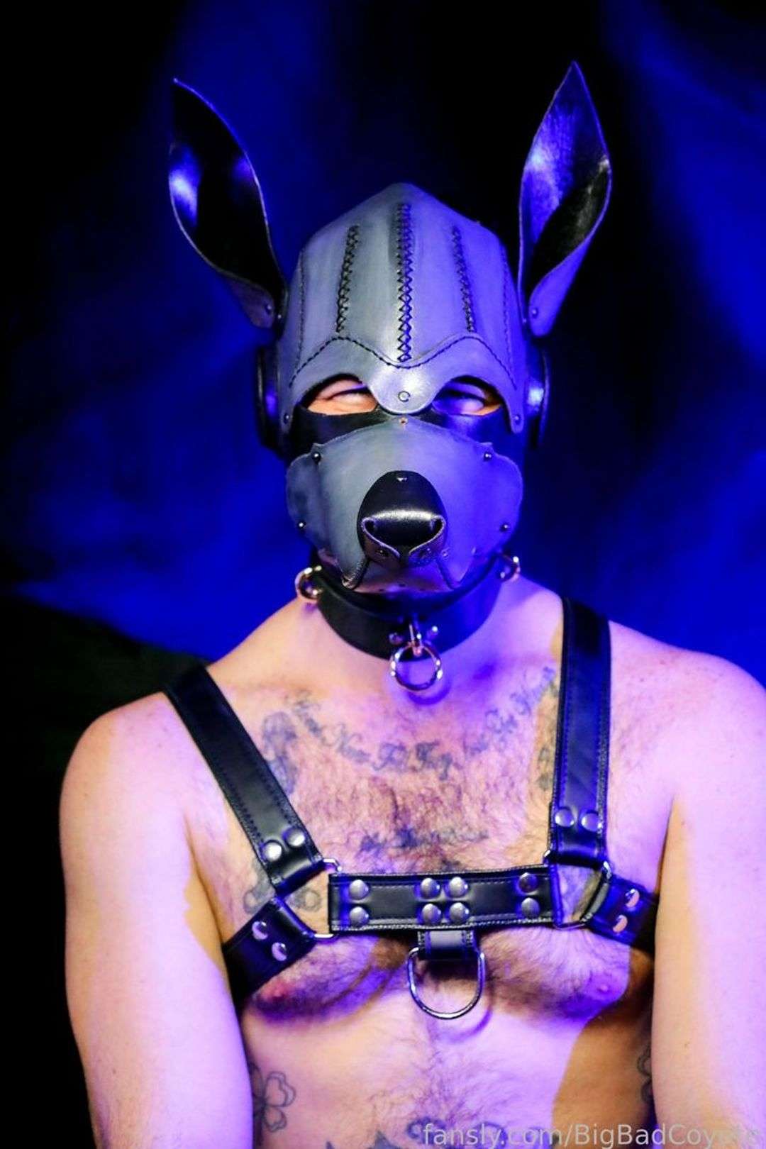 fansly BigBadCoyote profile photo  