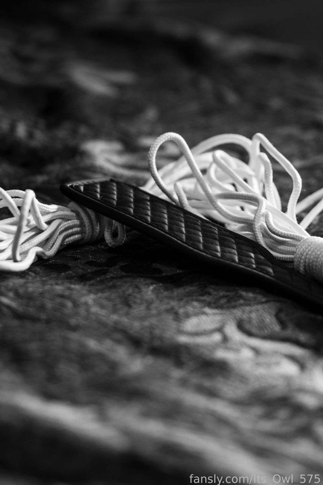 fansly Xan ❤️  profile photo  