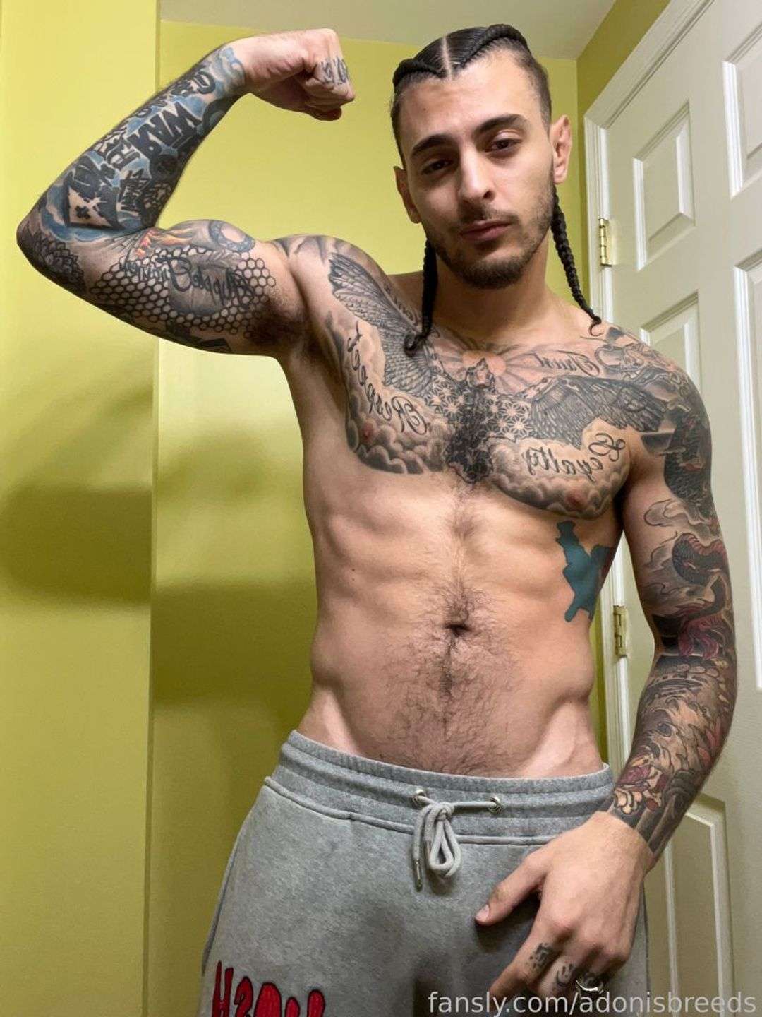 fansly Adonis Breeds profile photo  