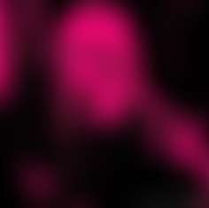 fansly E★ profile photo  