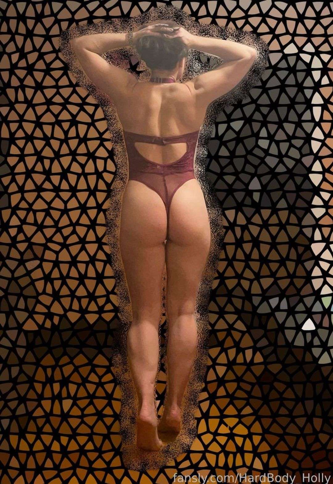 fansly HardBody_Holly profile photo  