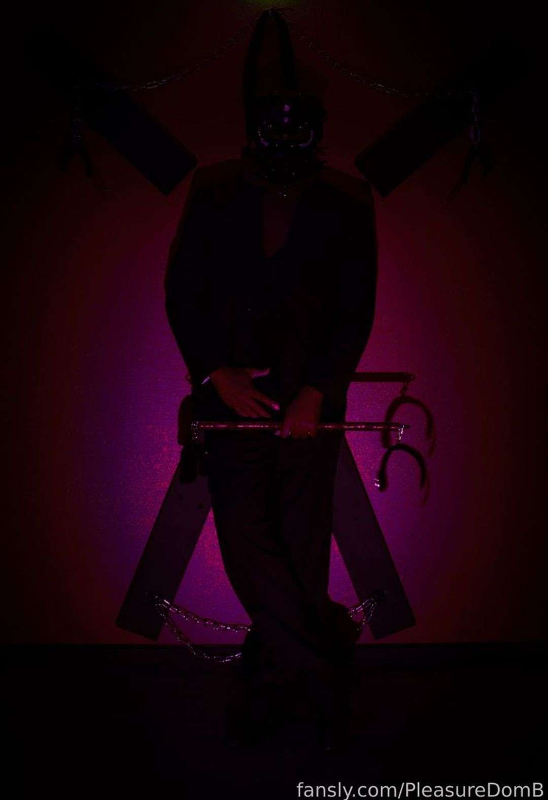 fansly Pleasure Dom B profile photo  