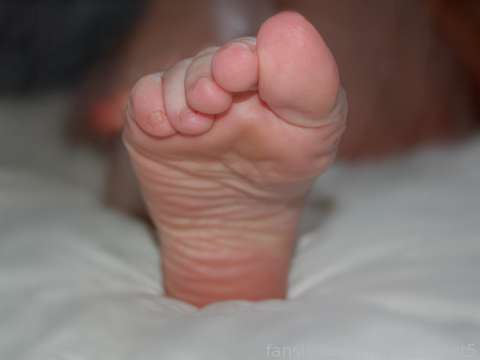 fansly Ms. Petite Feet profile photo  