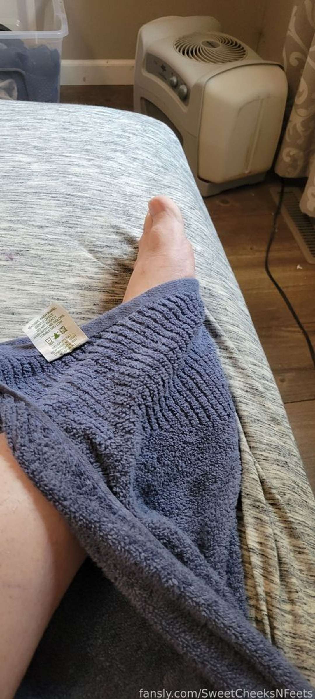 fansly SweetCheeksNFeets profile photo  