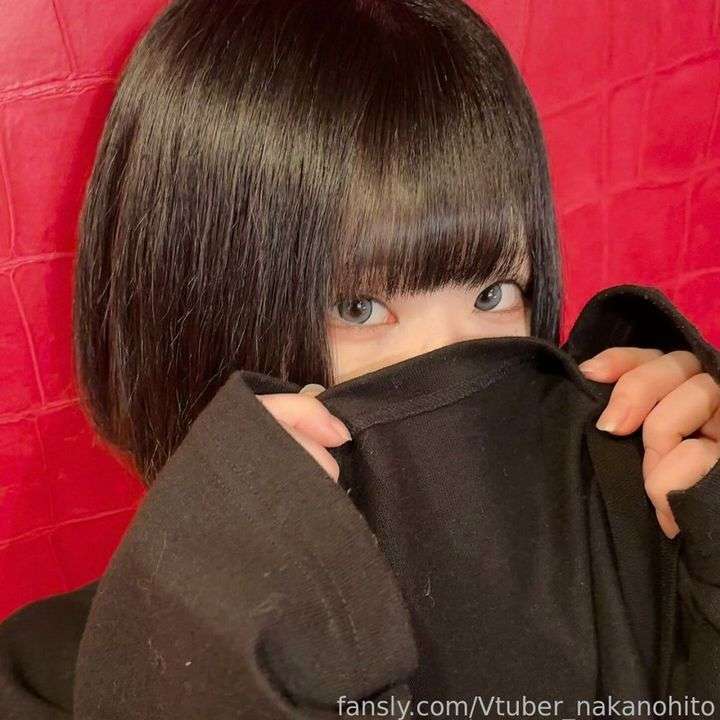 fansly Vtuber_nakanohito profile photo  