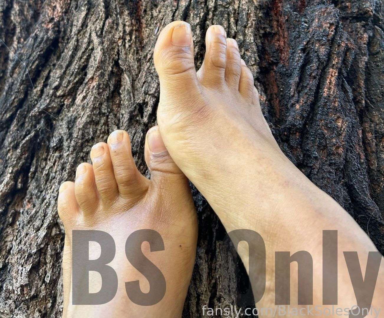 fansly BlackSolesOnly profile photo  