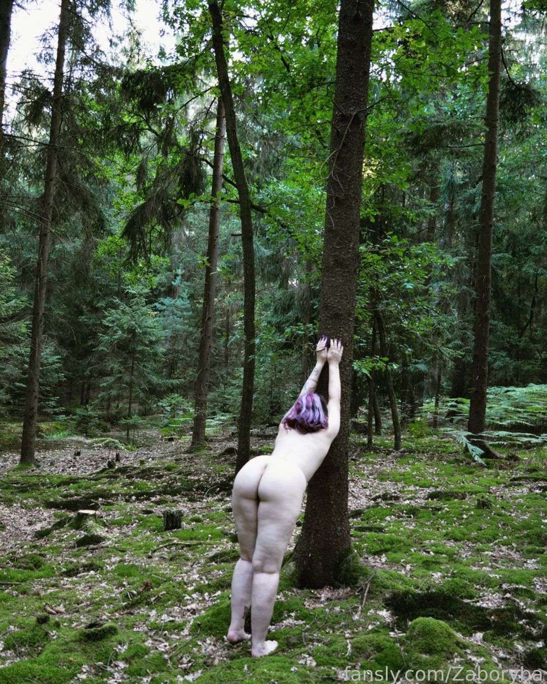 fansly Žaboryba profile photo  