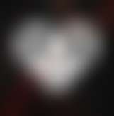 fansly The PRIME Card profile photo  