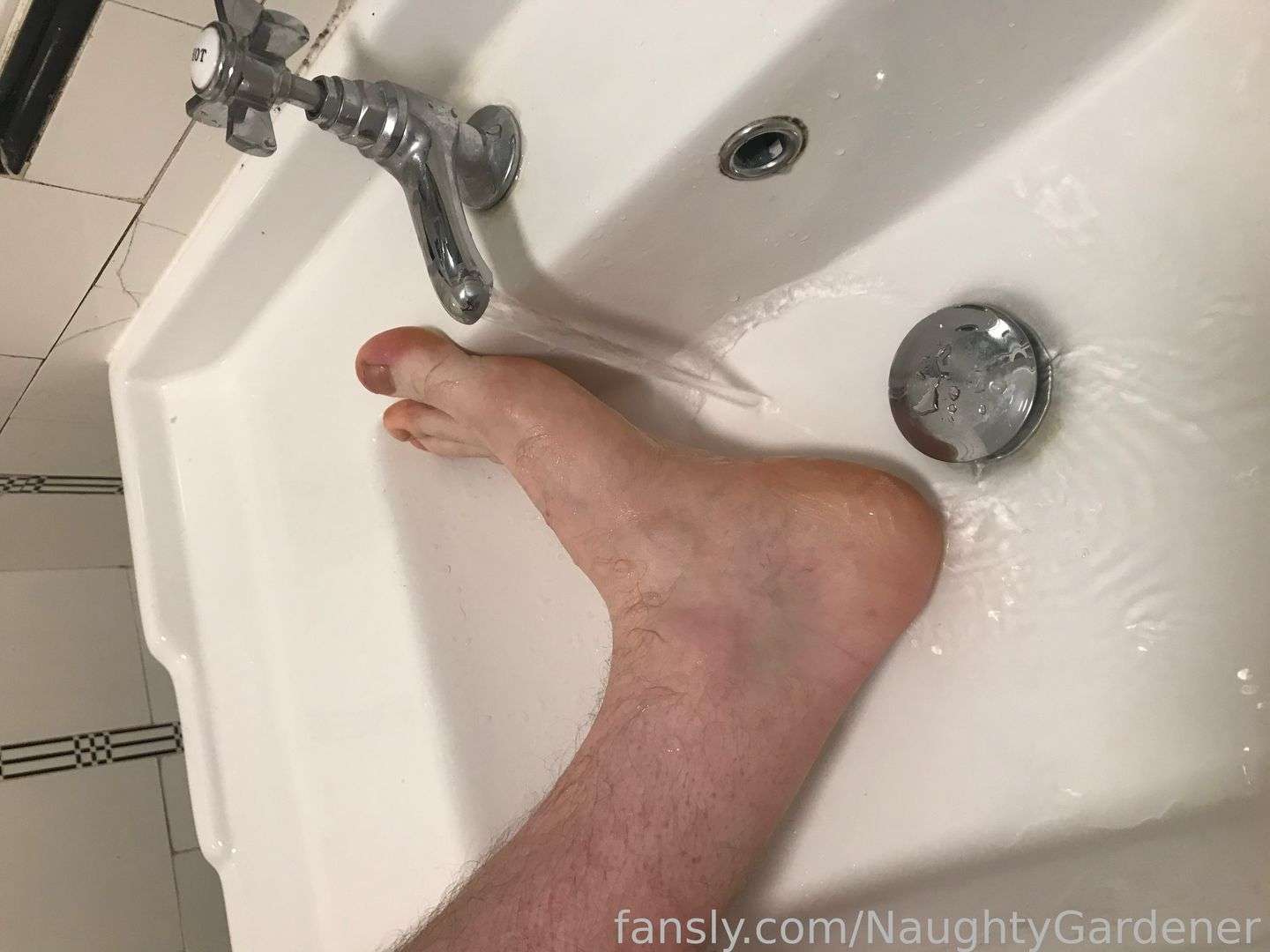 fansly NaughtyGardener profile photo  