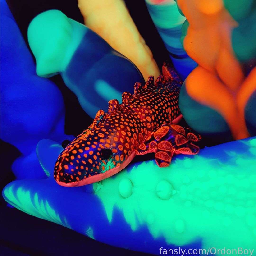 fansly OrdonBoy profile photo  