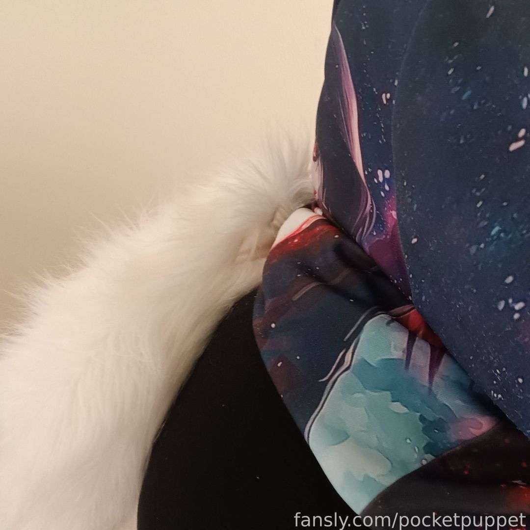 fansly 🪼Manubu🪼 profile photo  