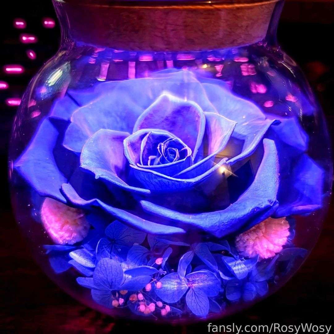 fansly RosyWosy profile photo  