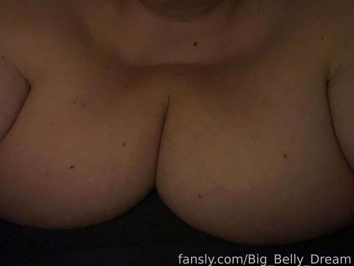 fansly Big Belly Dream profile photo  