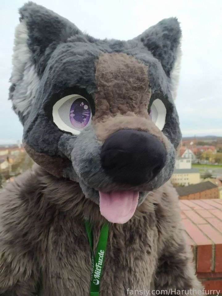 fansly Haruthefurry  profile photo  