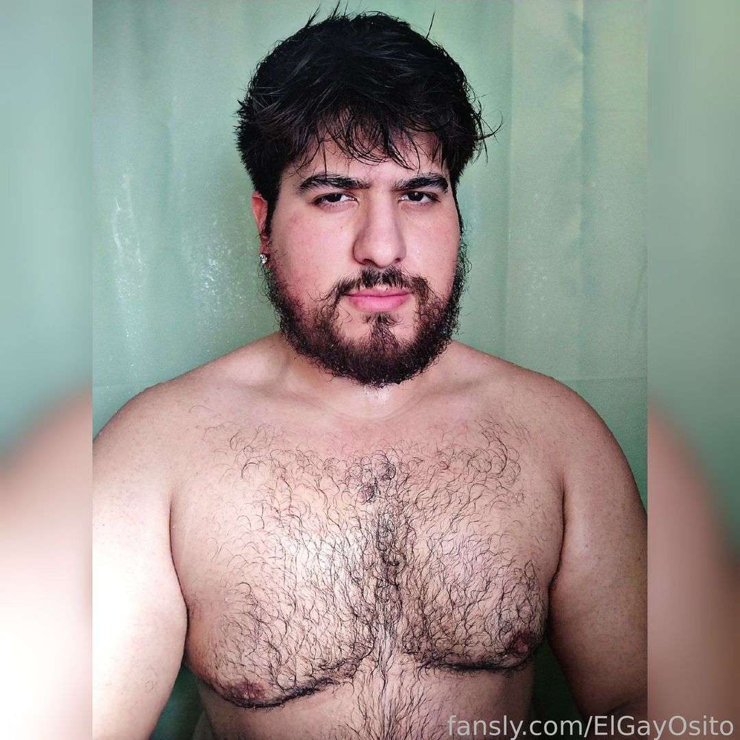 fansly El Gay Osito profile photo  