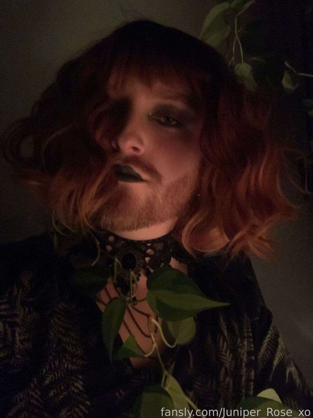 fansly Juniper Rose 🌲🌹 profile photo  