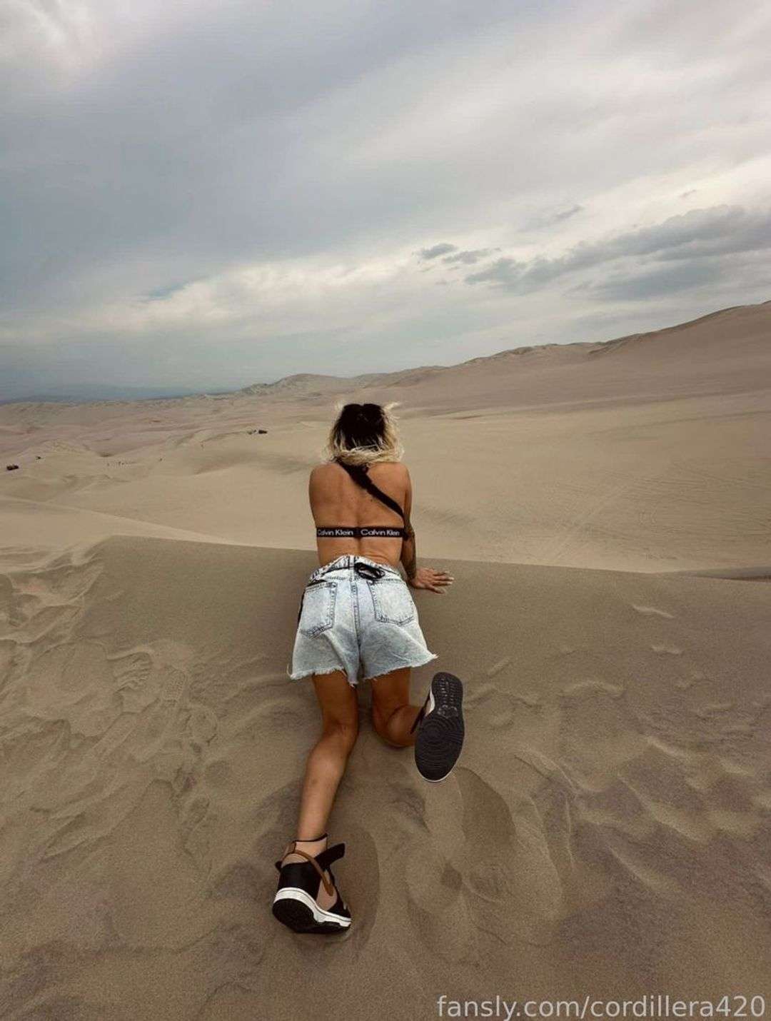 fansly Cordillera 420 profile photo  