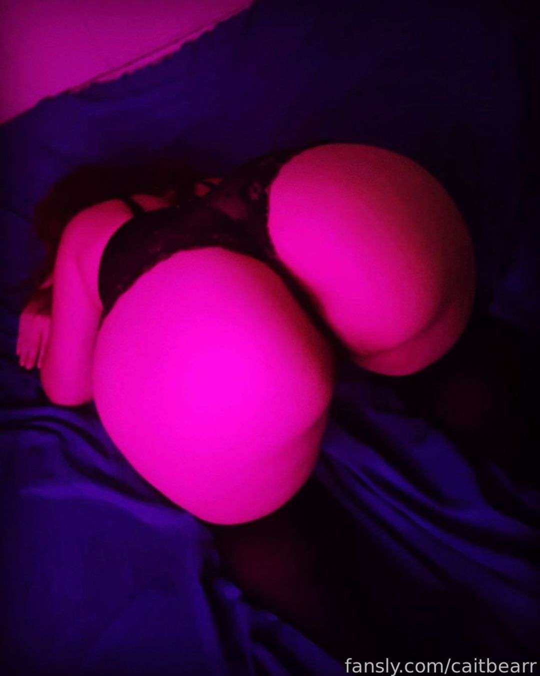 fansly caitbearr profile photo  