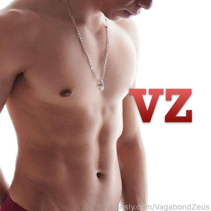 fansly VagabondZeus profile photo  