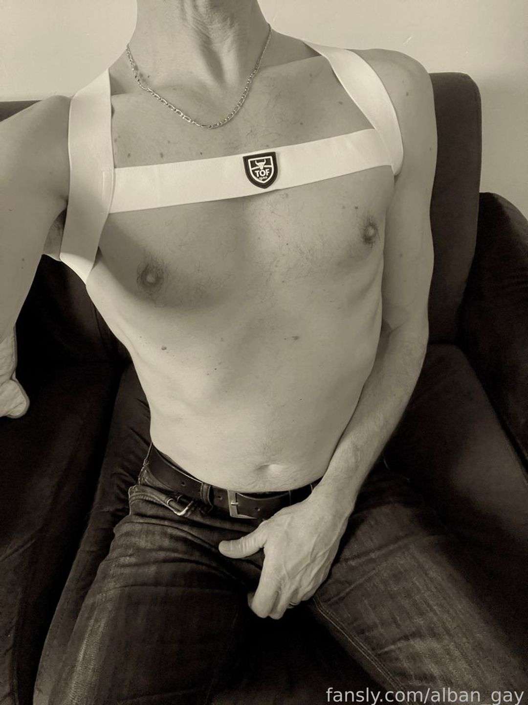fansly alban_gay profile photo  