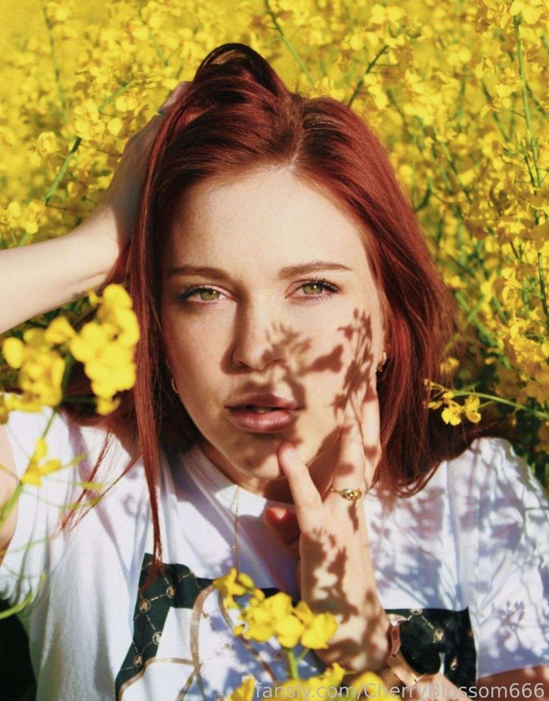 fansly Cherry Blossom profile photo  