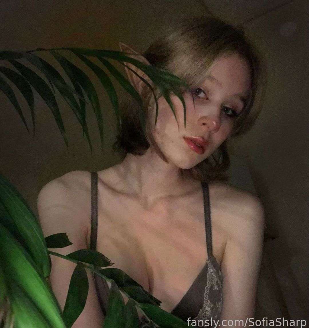 fansly Sofia Sharp profile photo  