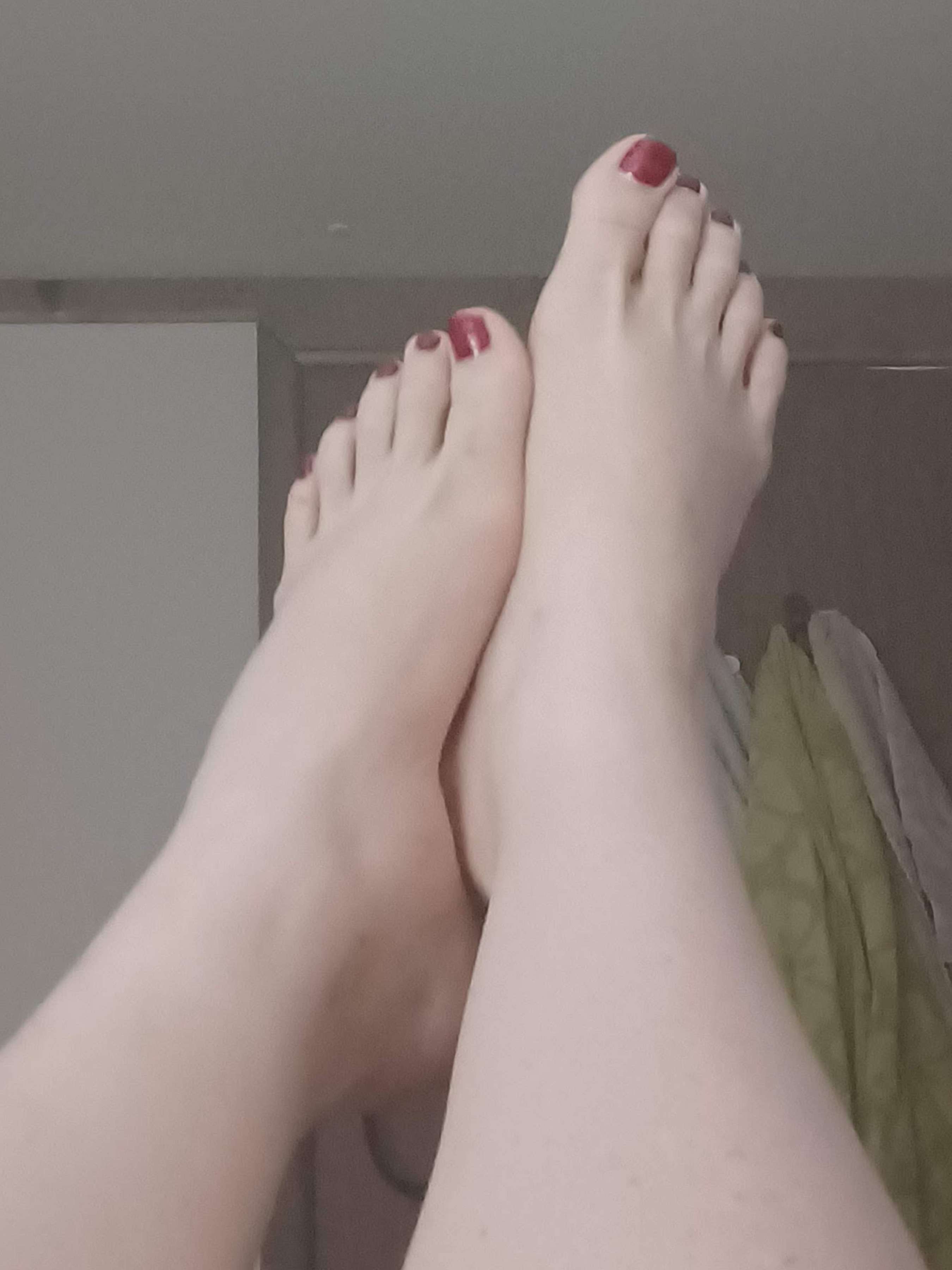 onlyfans Piglet profile photo  
