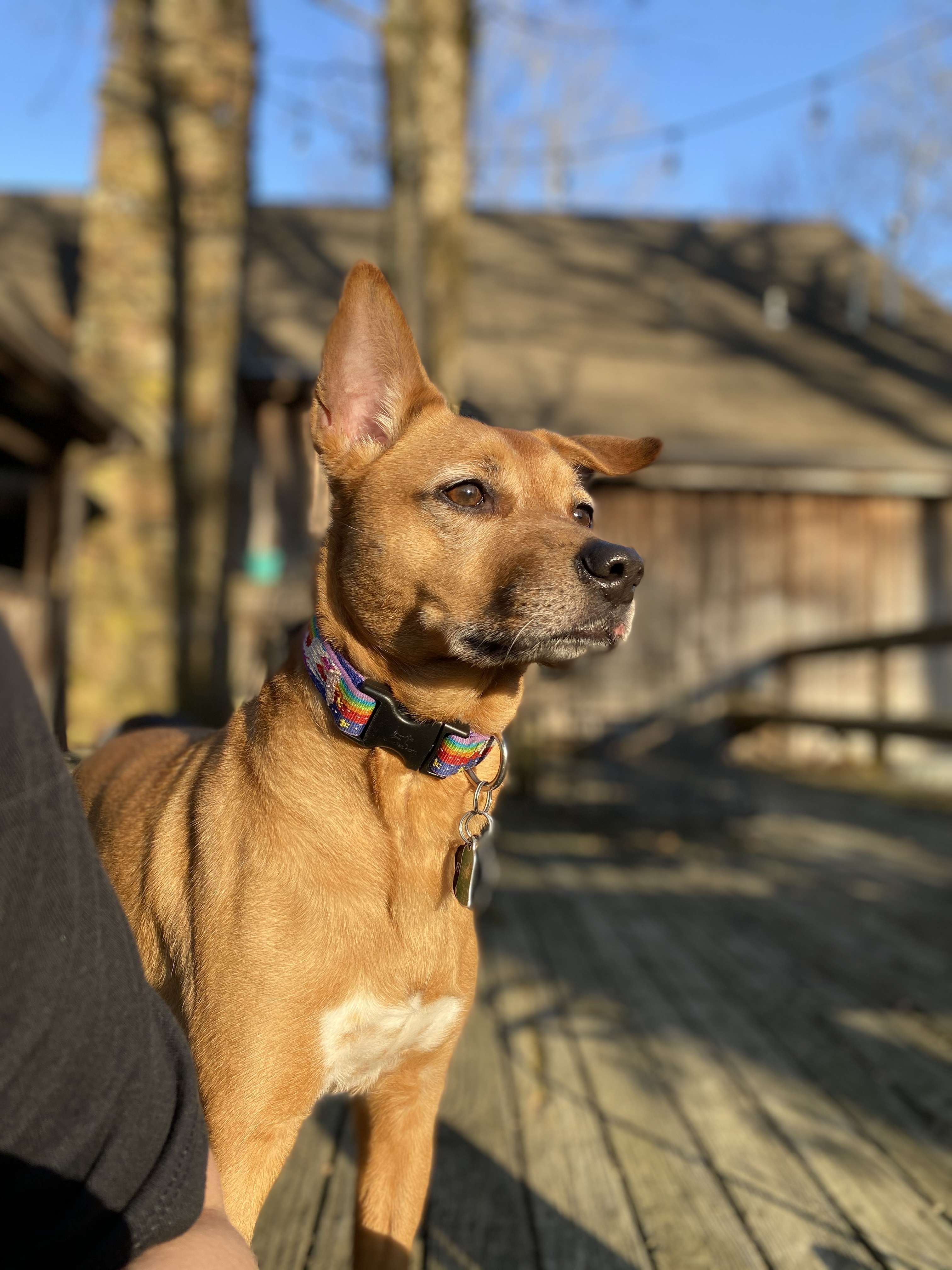 onlyfans Kat G profile photo  