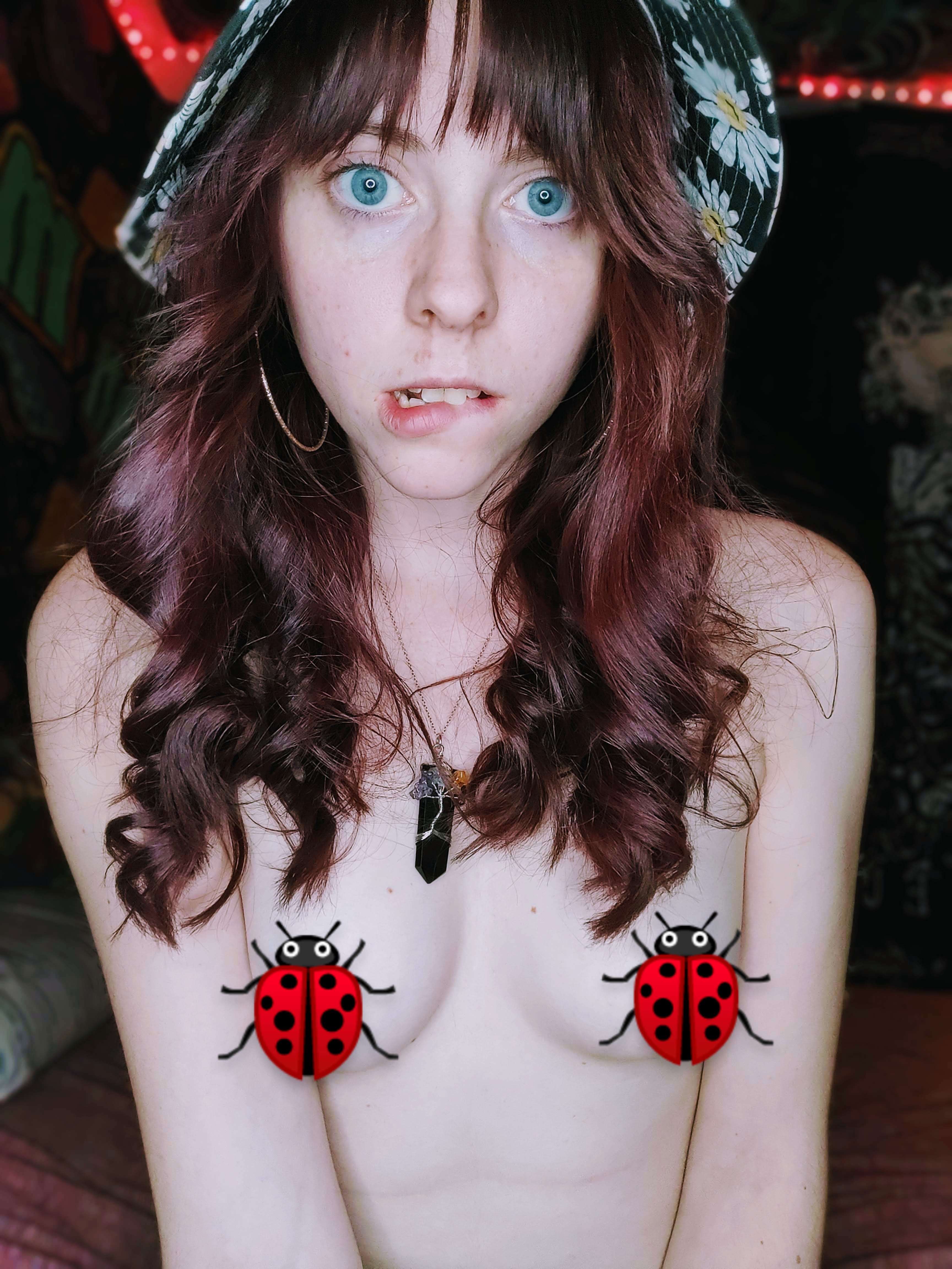 onlyfans Sophia Angel 👽✌ profile photo  