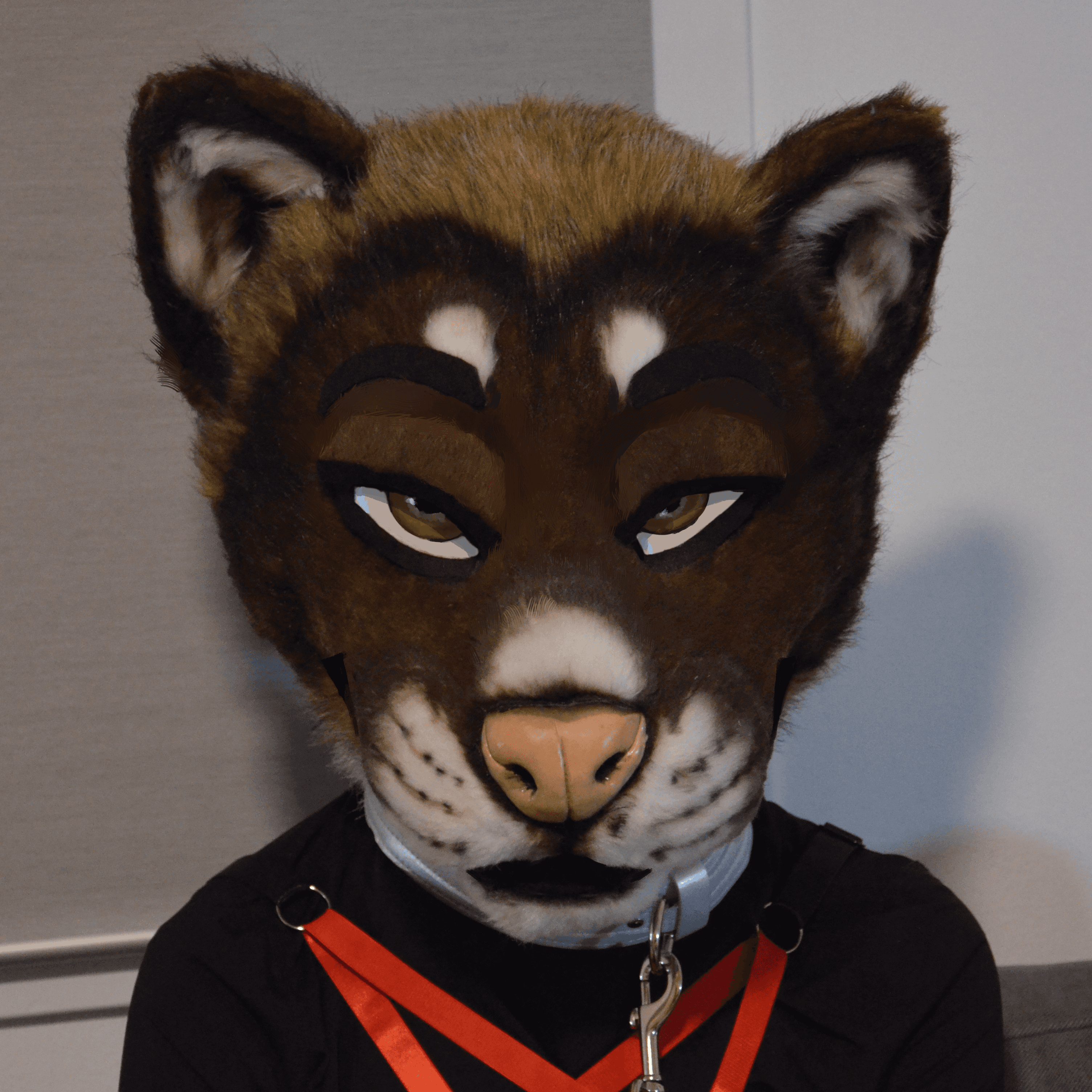 onlyfans Domi profile photo  