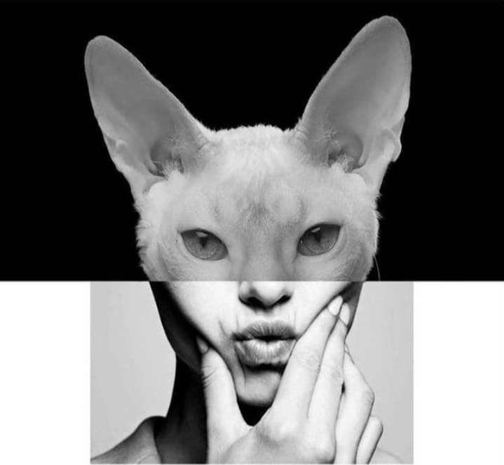 onlyfans Eris profile photo  