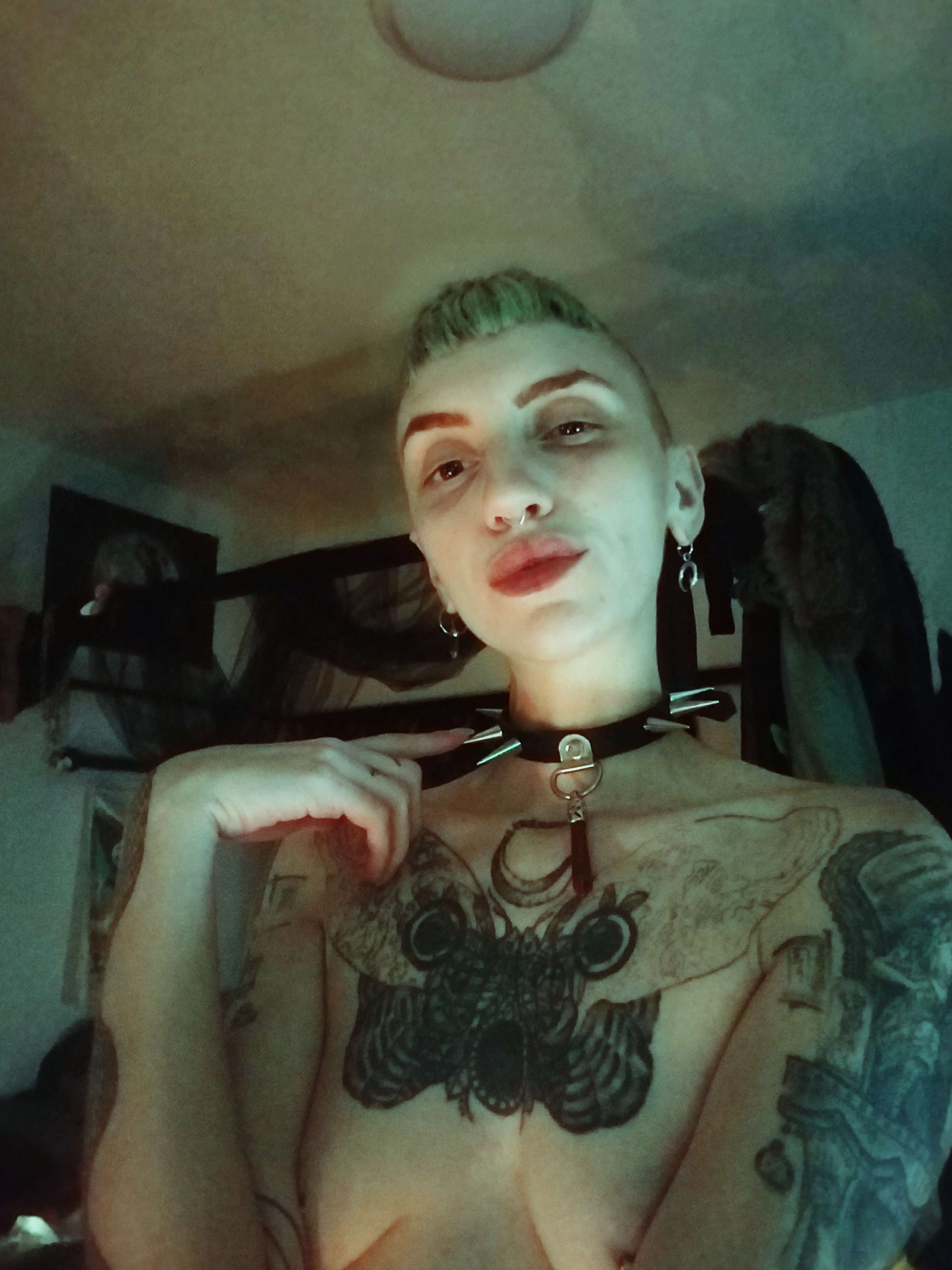 onlyfans Vesper  -they/them- profile photo  
