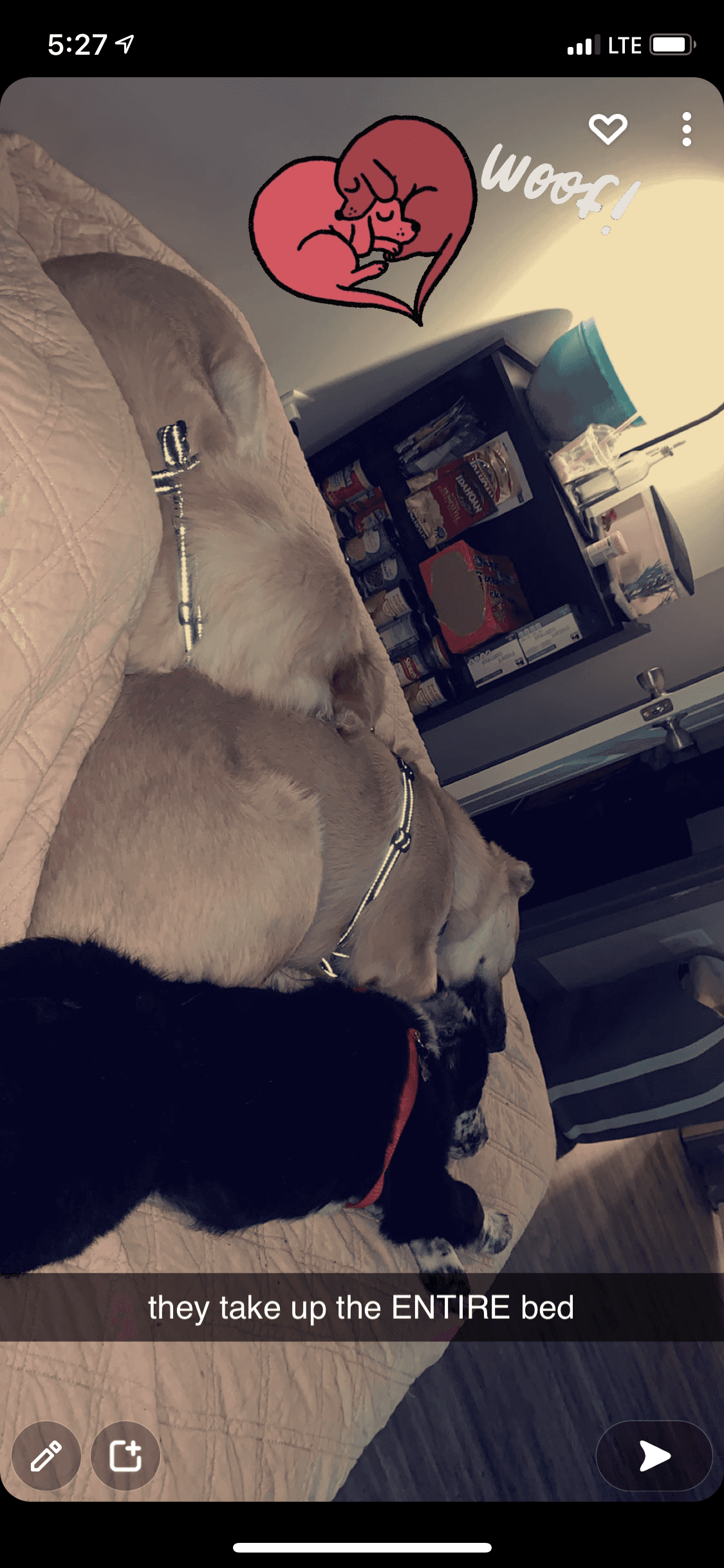 onlyfans hank, wrig, and jacko profile photo  