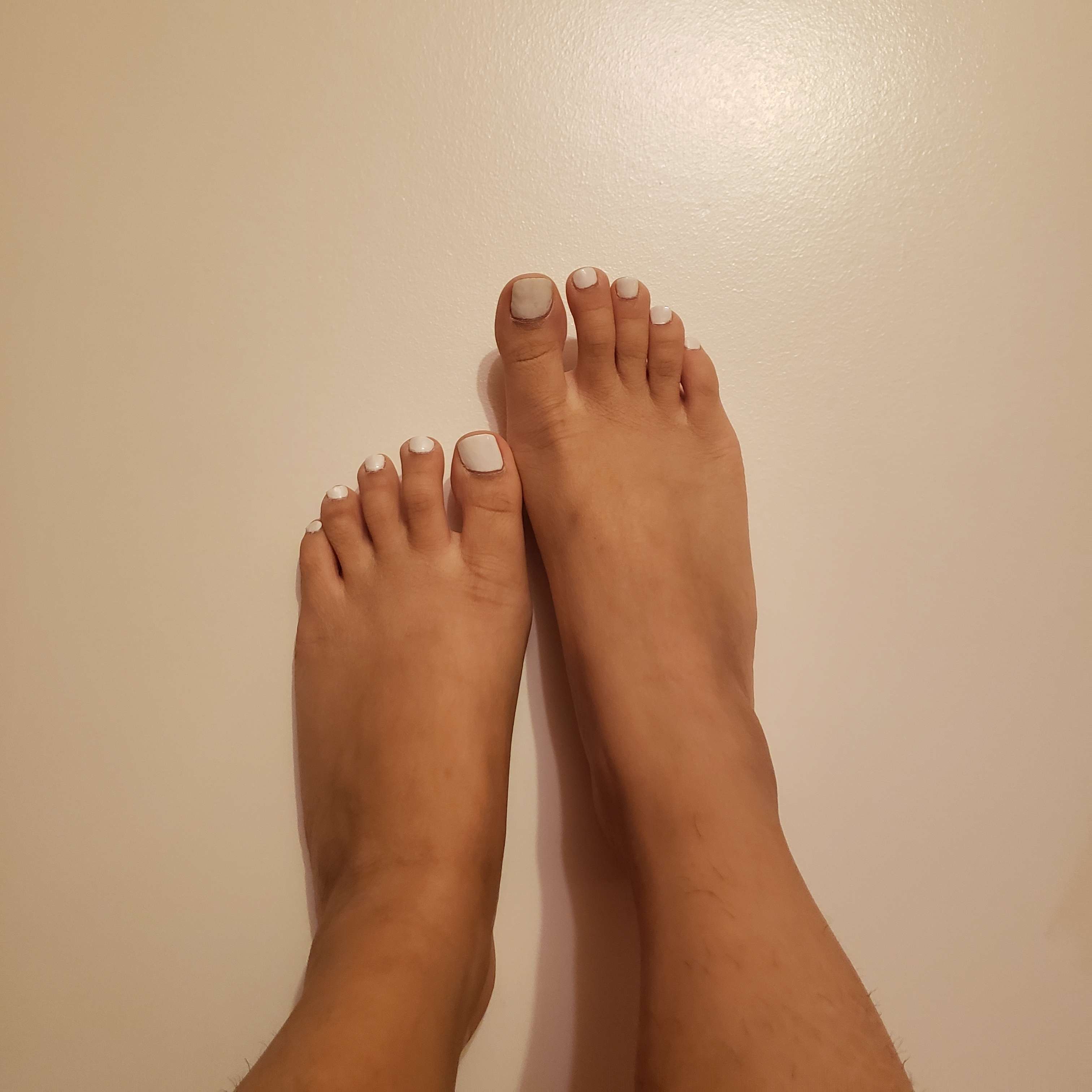 onlyfans piggy-poos5 profile photo  